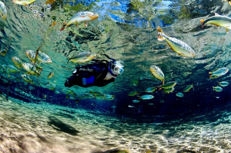 Imagem principal da Notícia