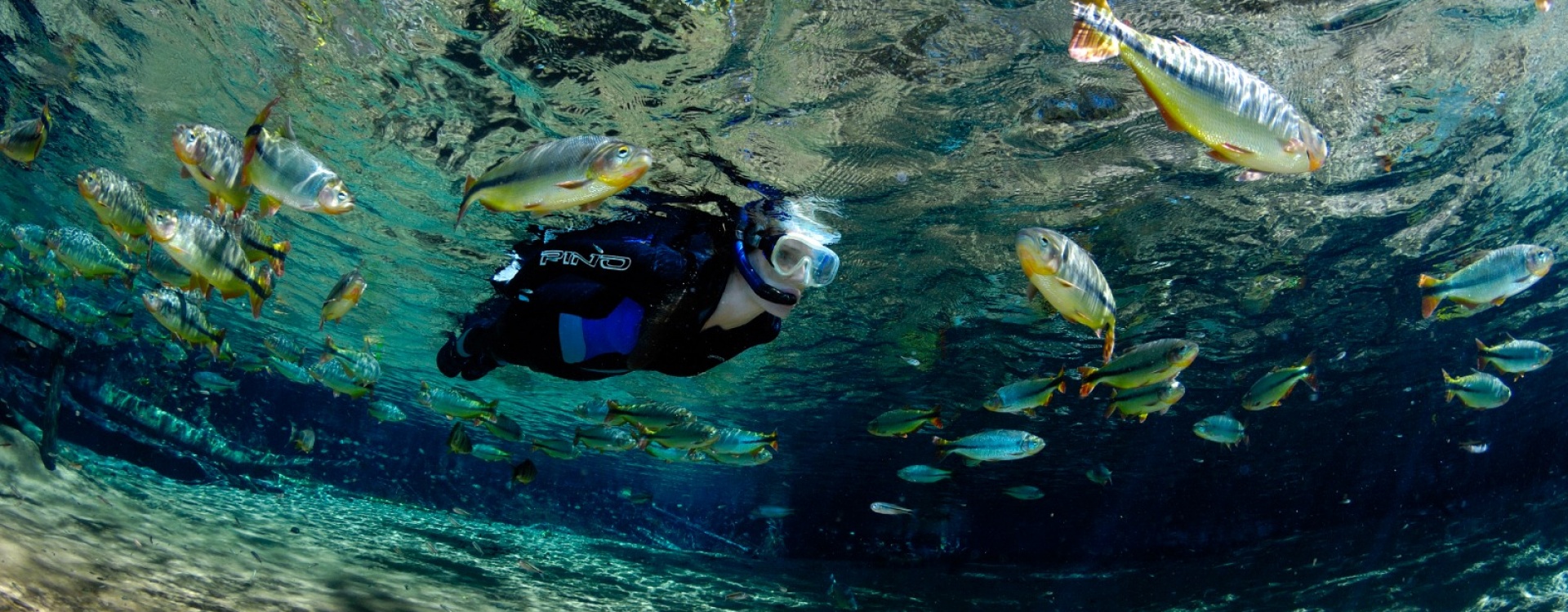 Imagem Descubra um mundo submerso-1